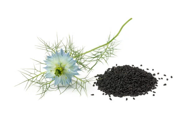 Habbatussauda